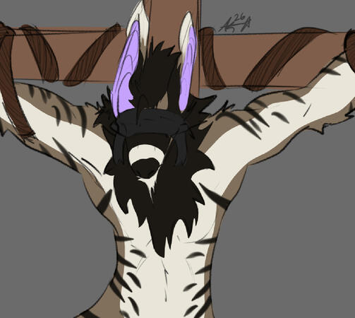 Yoté Halfbody Yoté Halfbody